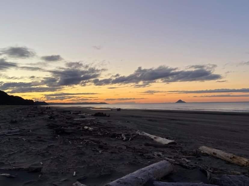 Opotiki - Waiotahe Drifts Beach Pod Exterior photo